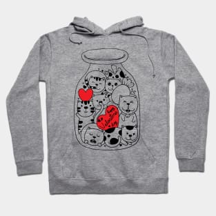 Cat doodles in bottle-valentines day Hoodie